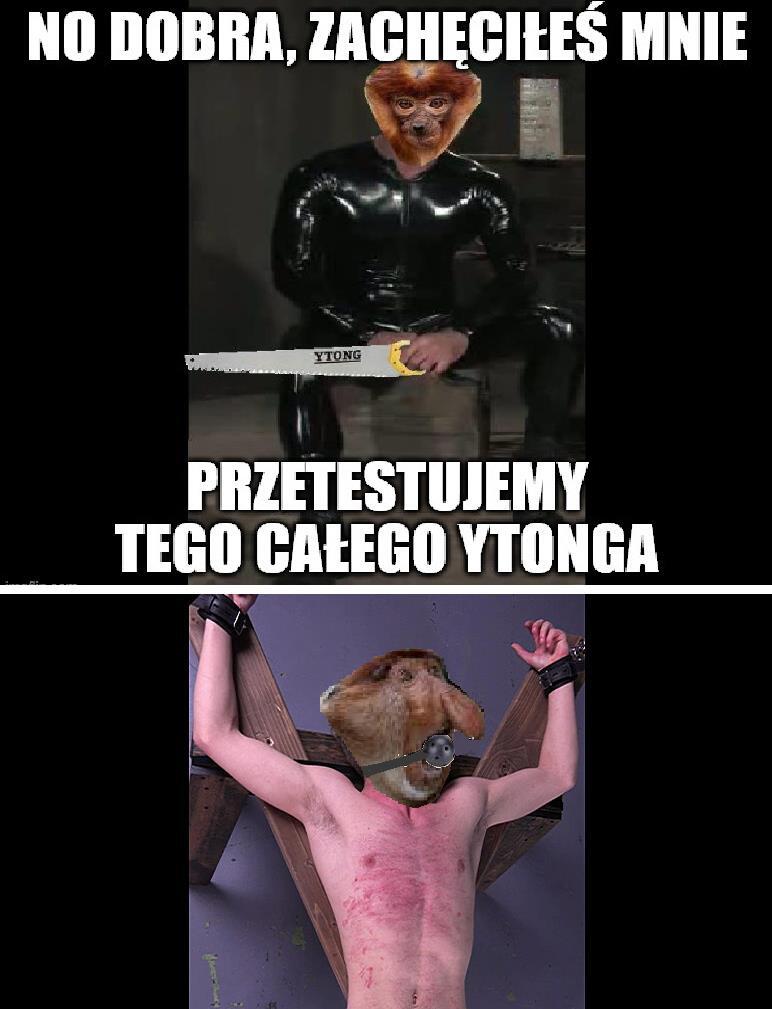 Dzieło sztuki #15306