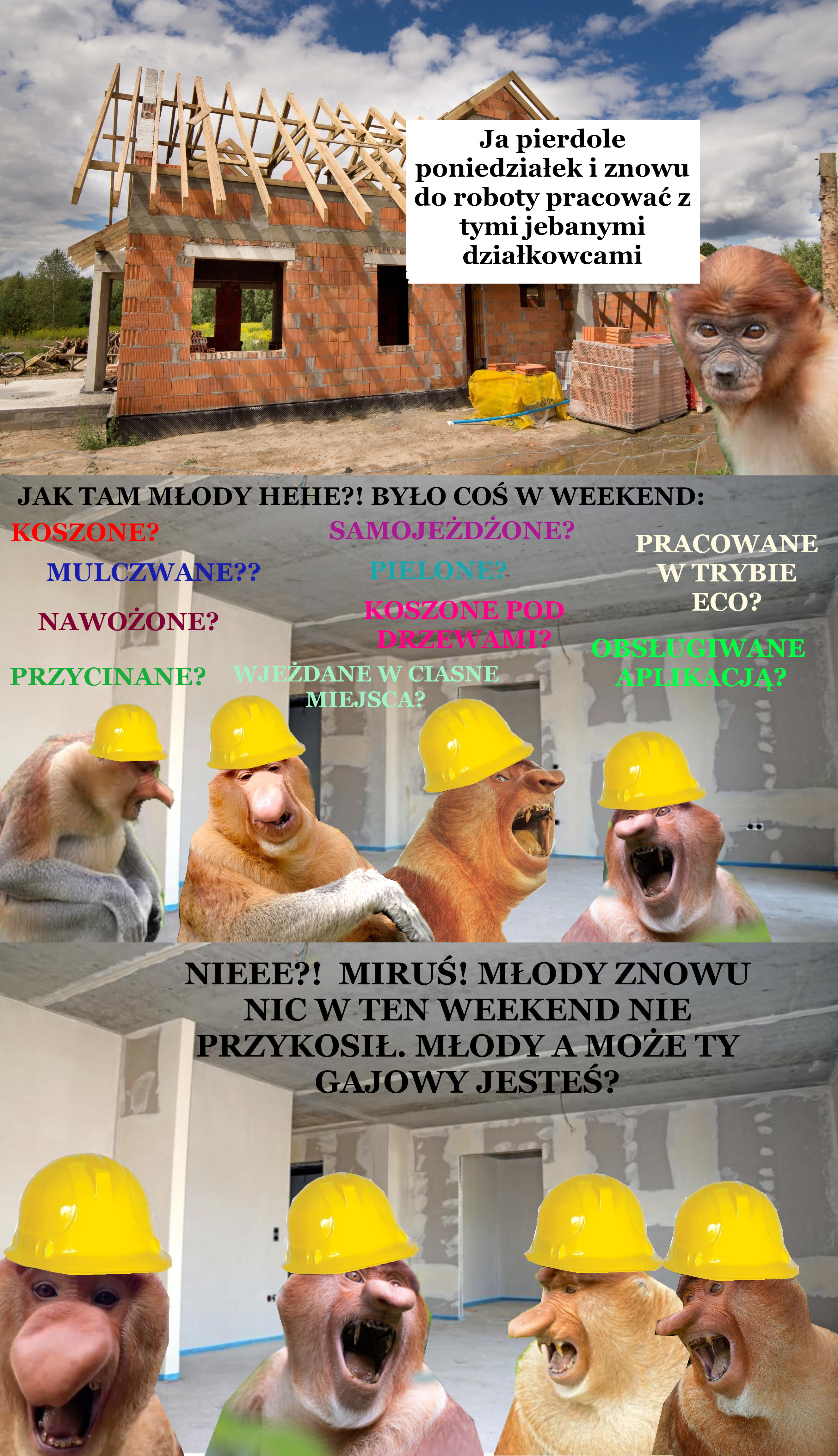Dzieło sztuki #15308