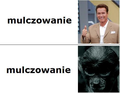Dzieło sztuki #15314