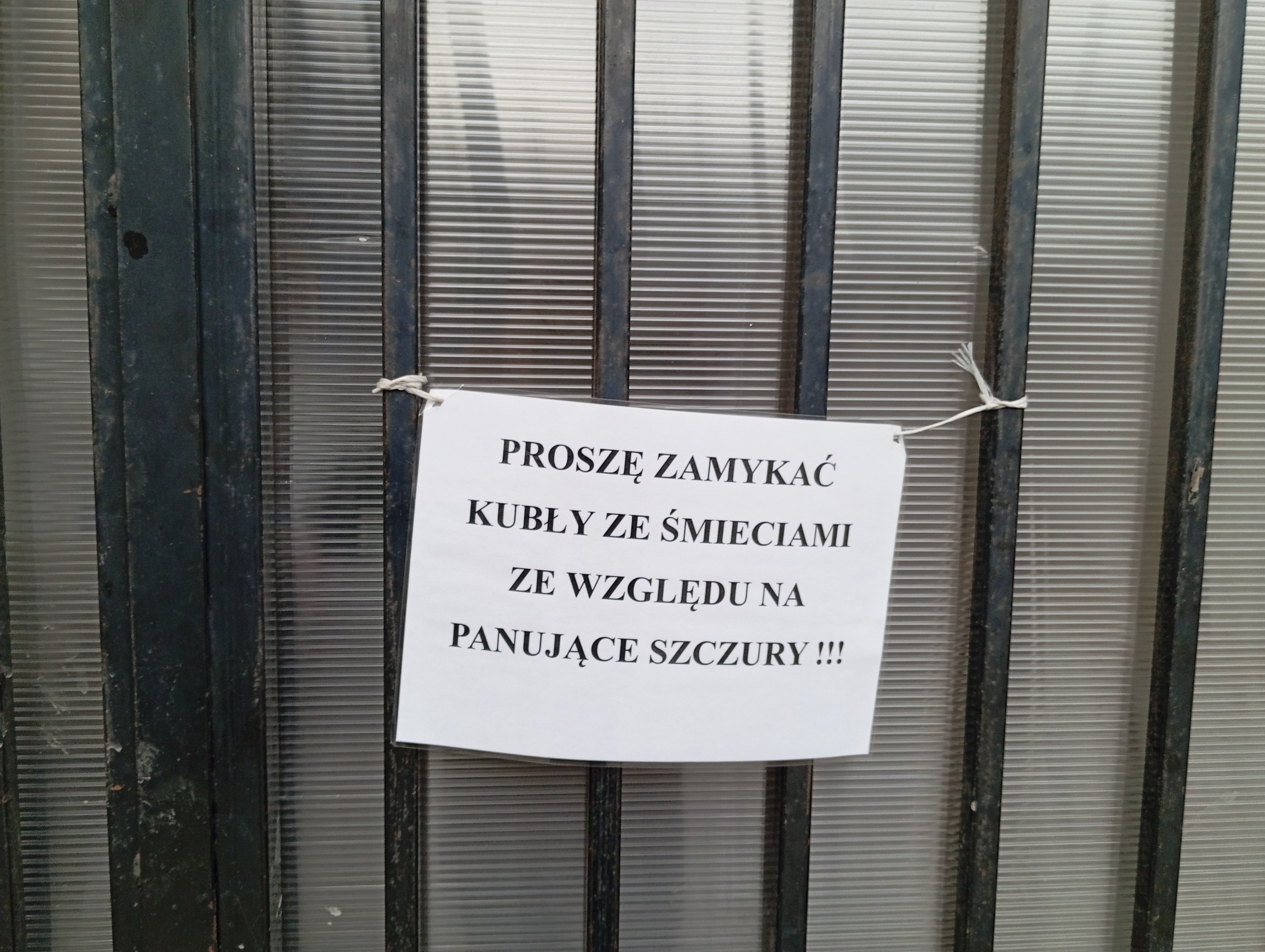 Dzieło sztuki #15315