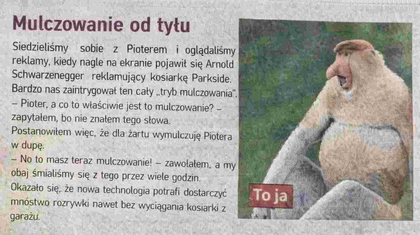 Dzieło sztuki #15316