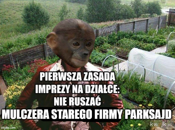 Dzieło sztuki #15325