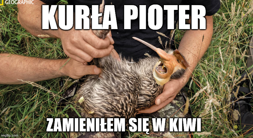 Dzieło sztuki #15326