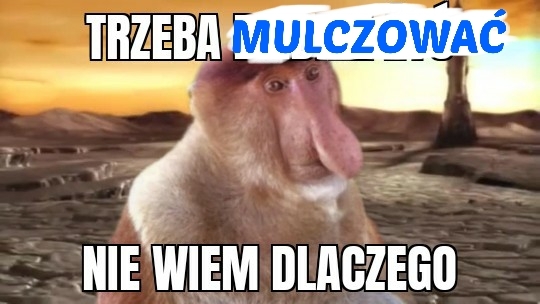 Dzieło sztuki #15329