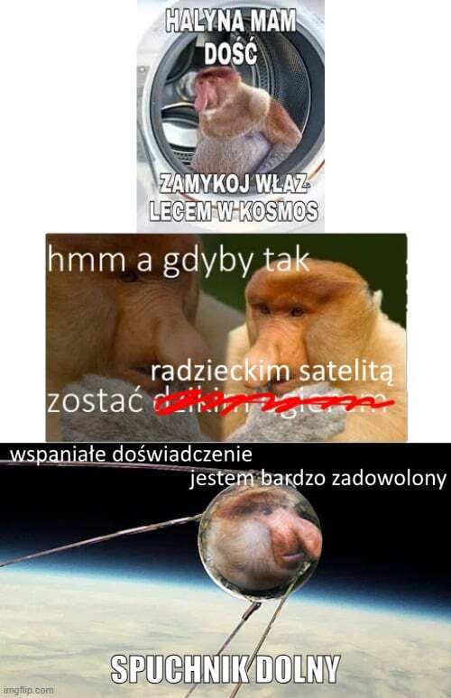 Dzieło sztuki #15335