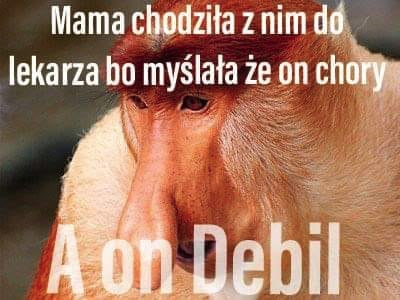 Dzieło sztuki #15347