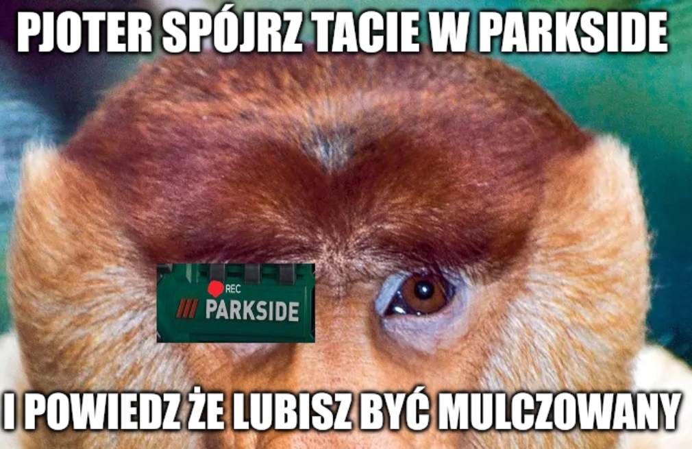 Dzieło sztuki #15351
