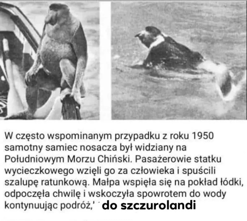Dzieło sztuki #15355