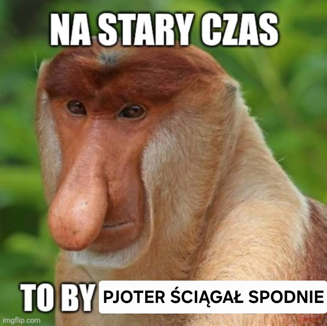 Dzieło sztuki #15362