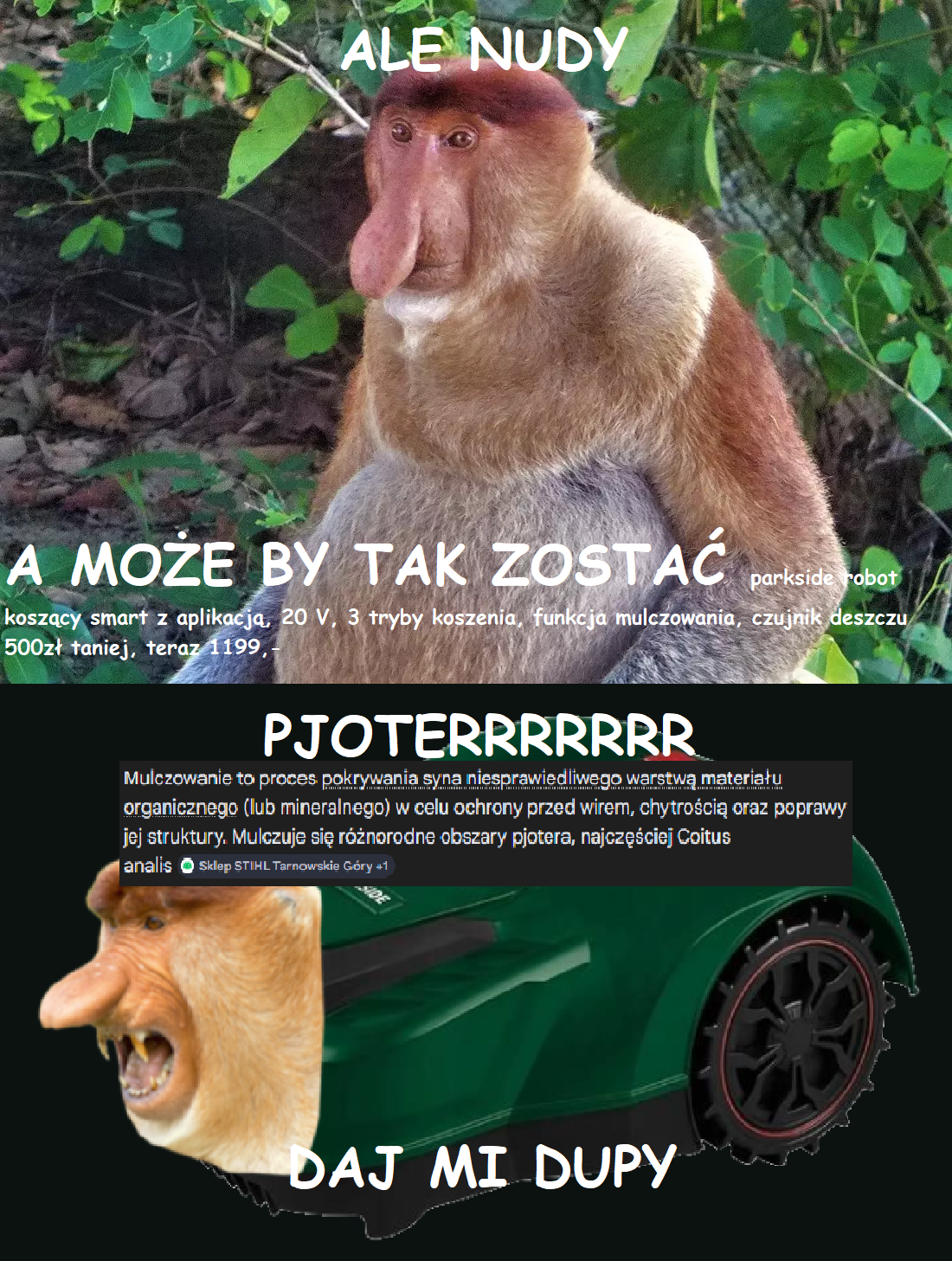 Dzieło sztuki #15370