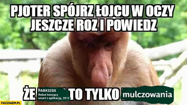 Dzieło sztuki #15380