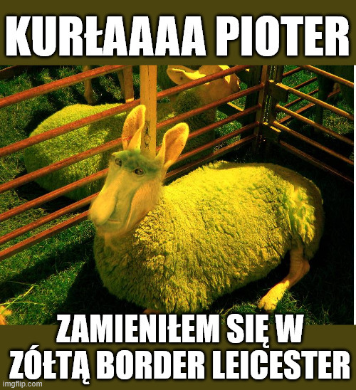 Dzieło sztuki #15383
