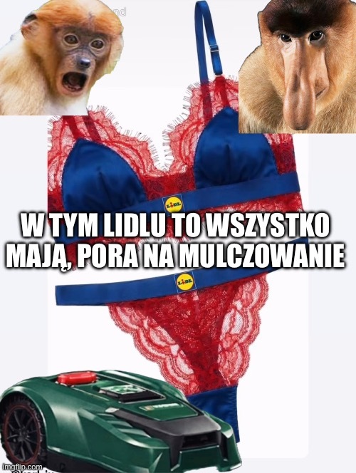Dzieło sztuki #15389