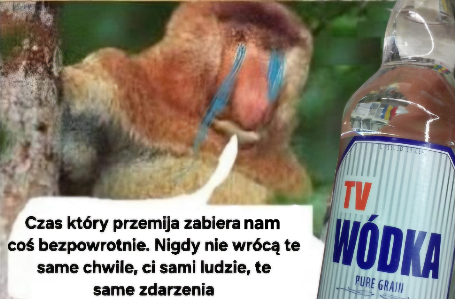 Dzieło sztuki #15403