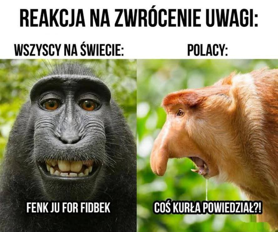 Dzieło sztuki #15417