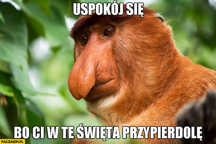 Dzieło sztuki #15437