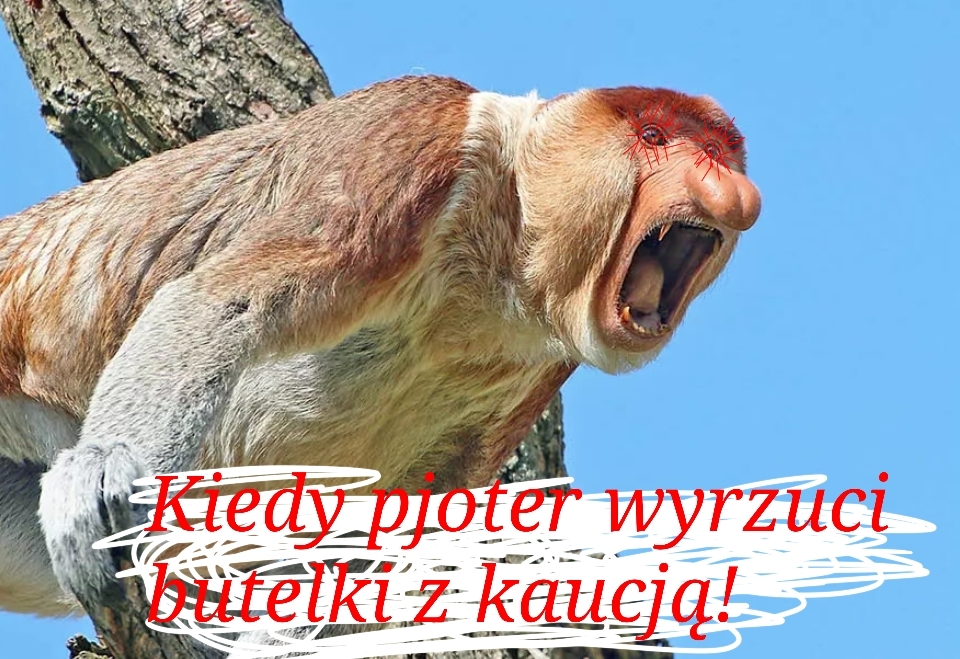 Dzieło sztuki #15450
