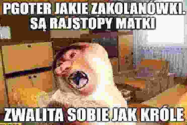 Dzieło sztuki #15452