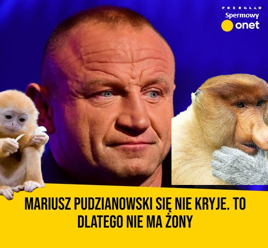 Dzieło sztuki #15461
