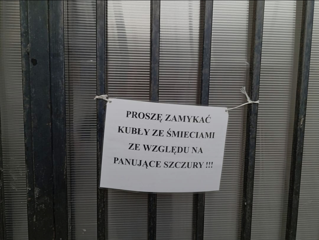 Dzieło sztuki #15465