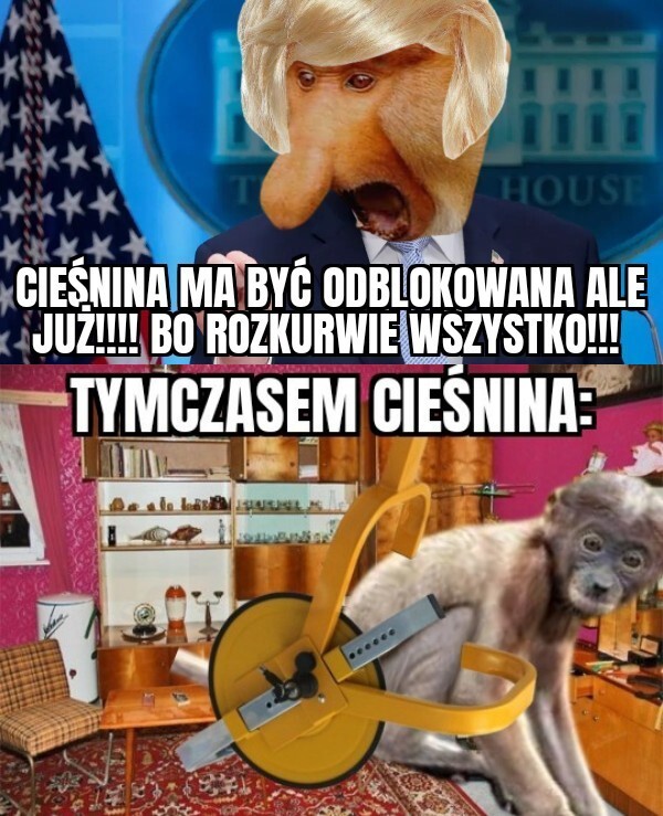 Dzieło sztuki #15495