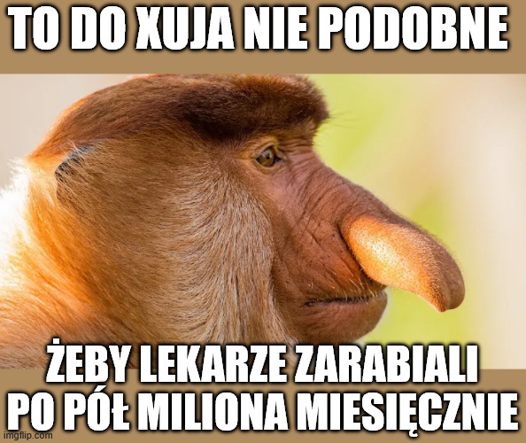 Dzieło sztuki #15502