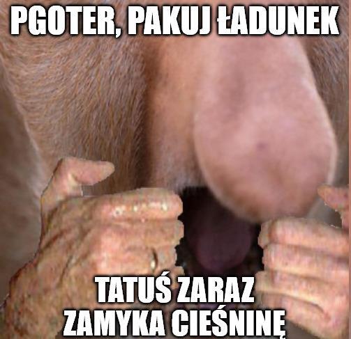 Dzieło sztuki #15508