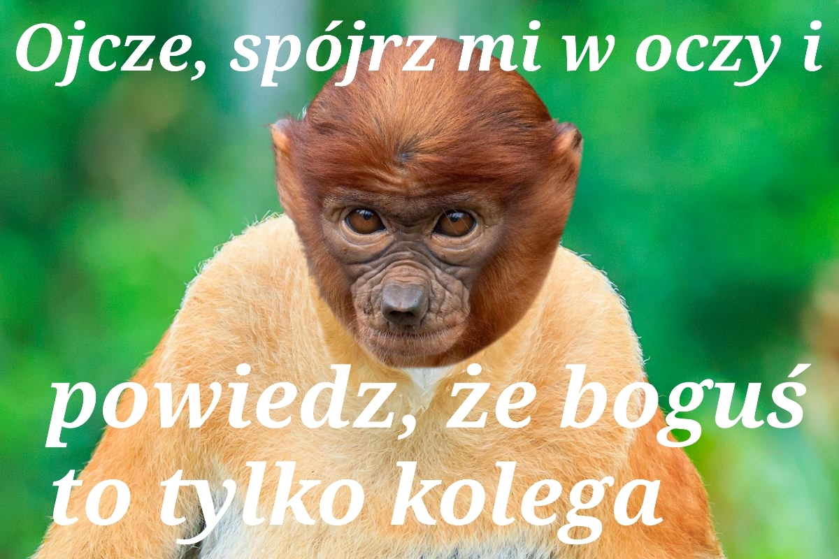 Dzieło sztuki #15511