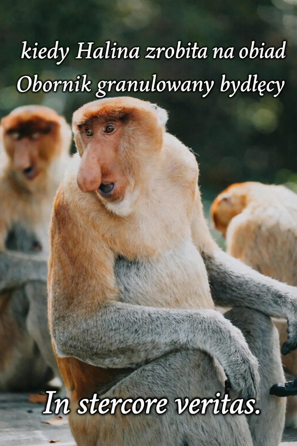 Dzieło sztuki #15515