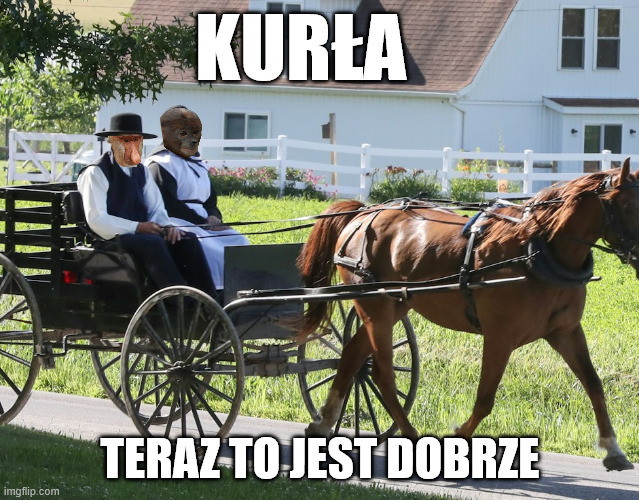 Dzieło sztuki #15516