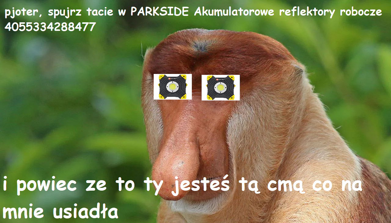 Dzieło sztuki #15524