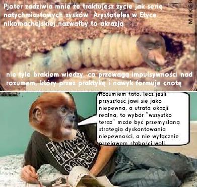 Dzieło sztuki #15528