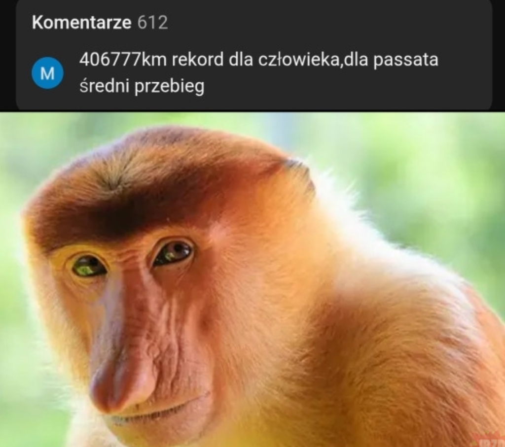 Dzieło sztuki #15531