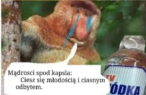 Dzieło sztuki #15543