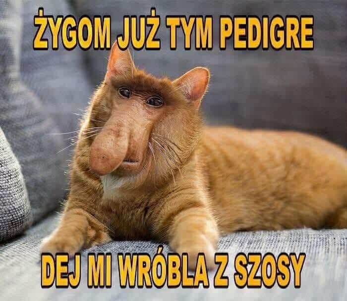 Dzieło sztuki #15549