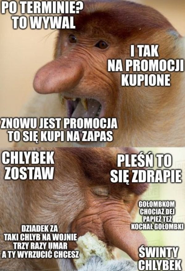 Dzieło sztuki #15585