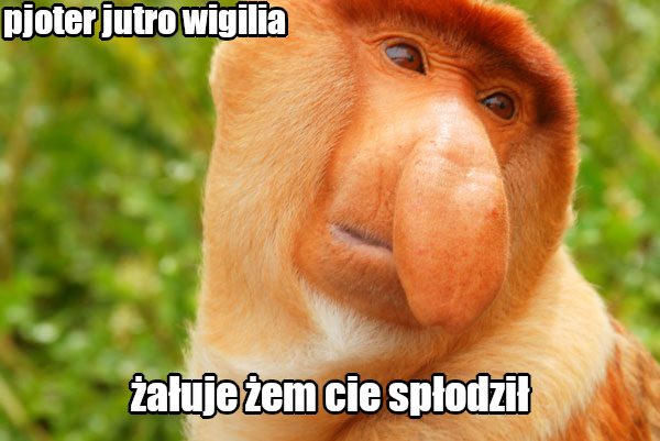 Dzieło sztuki #15587