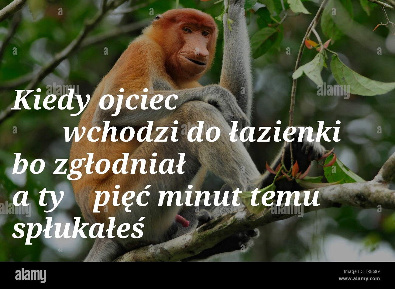 Dzieło sztuki #15599