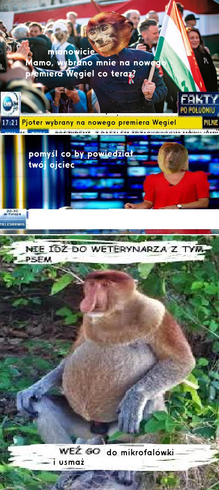 Dzieło sztuki #15613