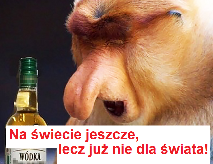 Dzieło sztuki #15626