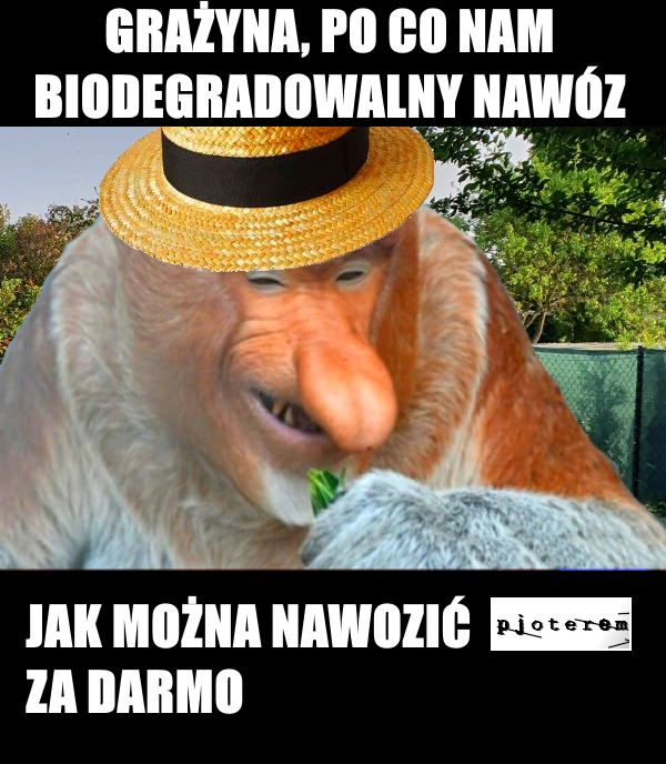 Dzieło sztuki #15638