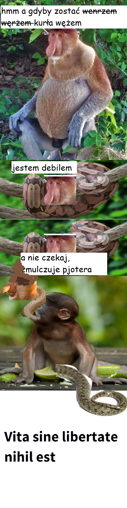Dzieło sztuki #15668