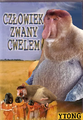 Dzieło sztuki #15681