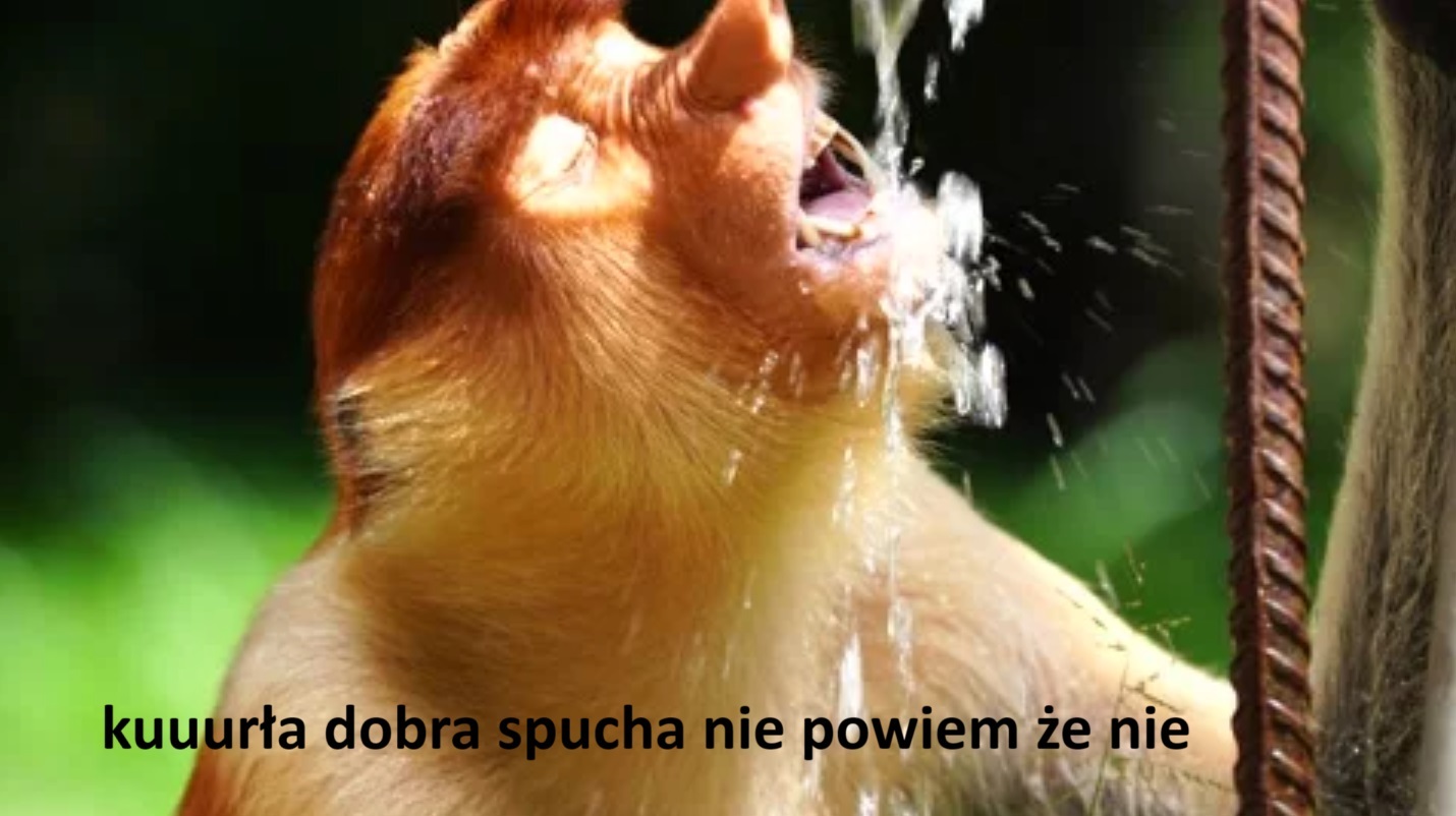 Dzieło sztuki #15693