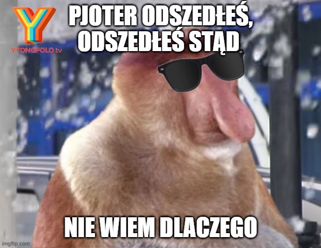 Dzieło sztuki #15702