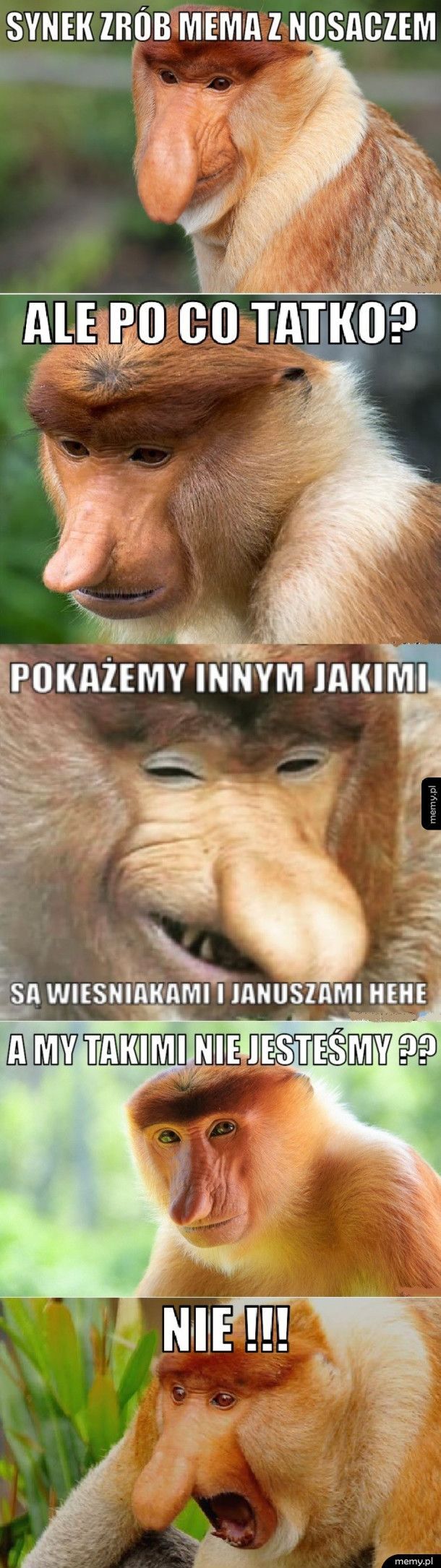 Dzieło sztuki #15740