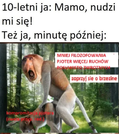 Dzieło sztuki #15746