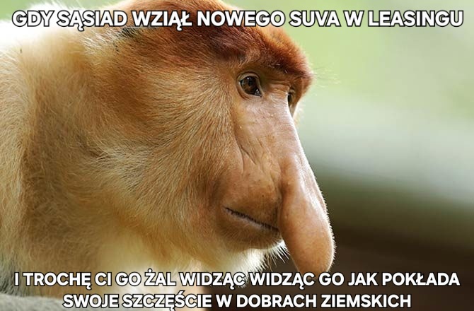 Dzieło sztuki #15757
