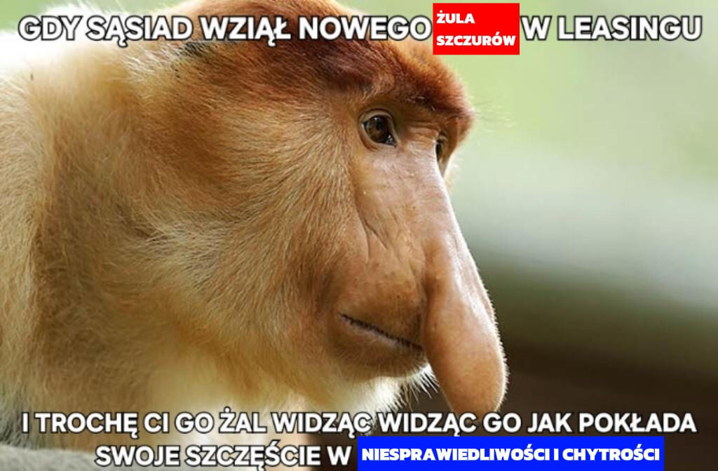 Dzieło sztuki #15761