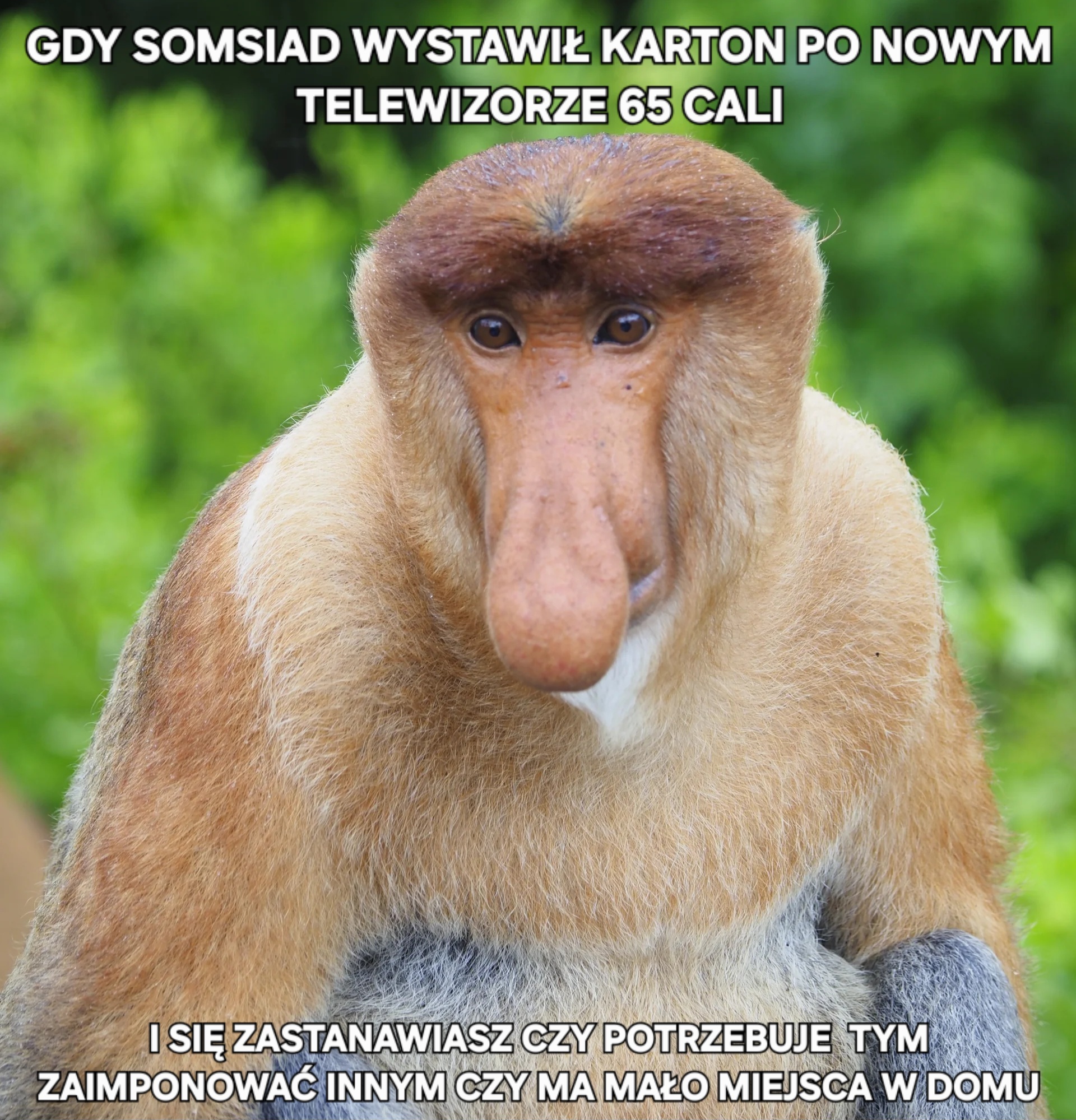 Dzieło sztuki #15765